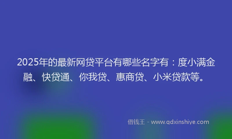 2025年的最新网贷平台有哪些名字有：度小满金融、快贷通、你我贷、惠商贷、小米贷款等。