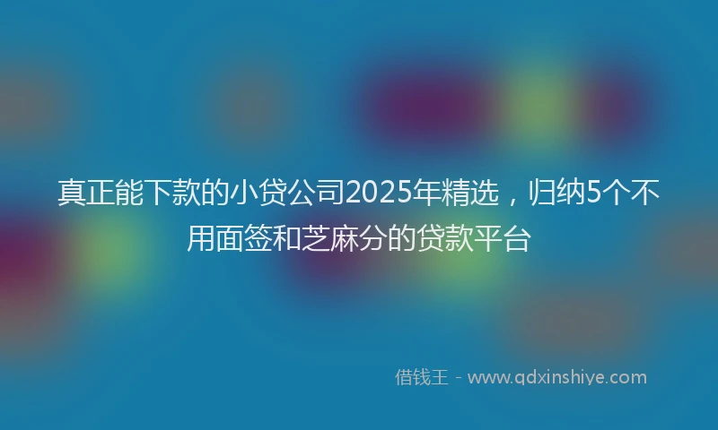 真正能下款的小贷公司2025年精选，归纳5个不用面签和芝麻分的贷款平台