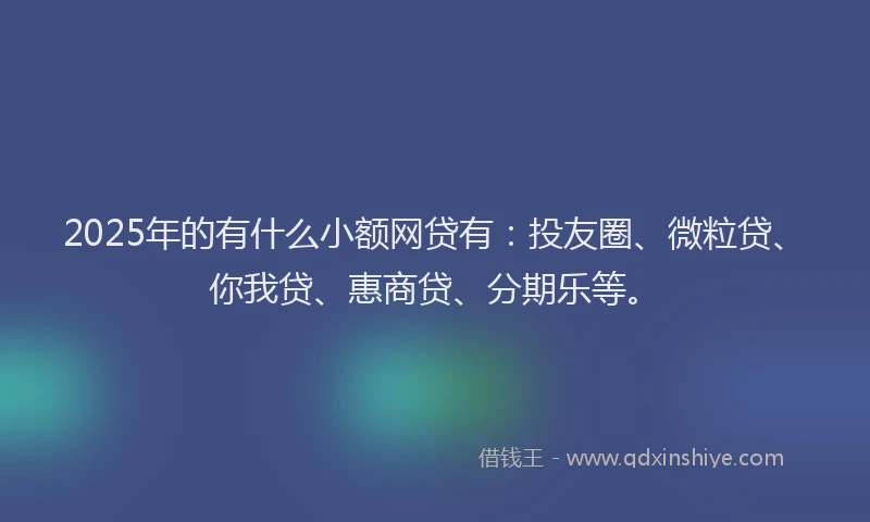 2025年的有什么小额网贷有：投友圈、微粒贷、你我贷、惠商贷、分期乐等。