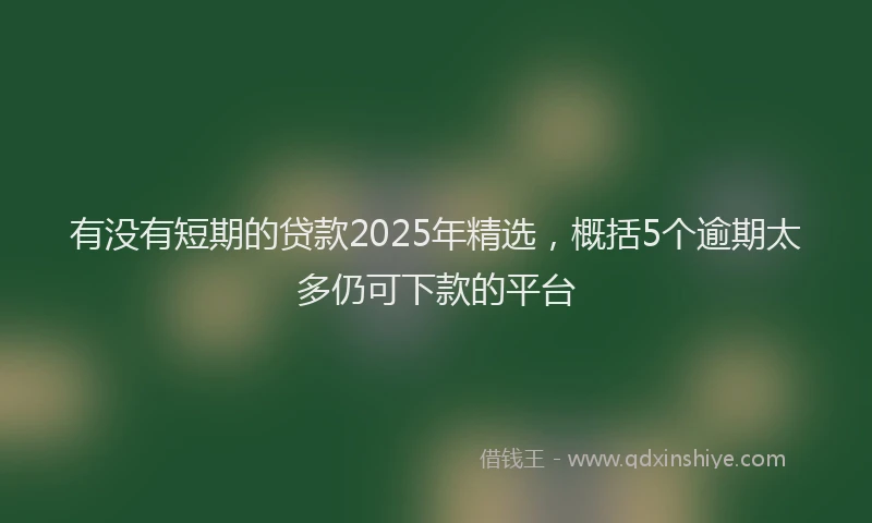 有没有短期的贷款2025年精选，概括5个逾期太多仍可下款的平台