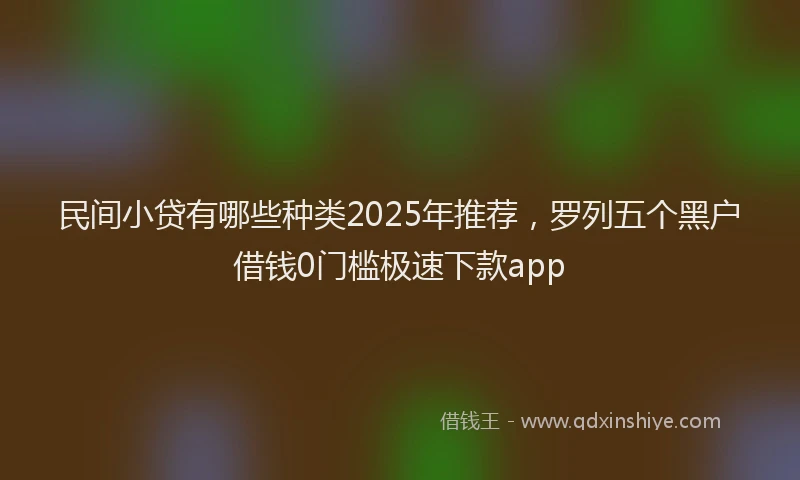 民间小贷有哪些种类2025年推荐，罗列五个黑户借钱0门槛极速下款app