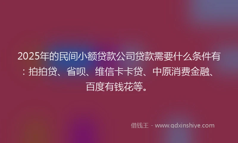 2025年的民间小额贷款公司贷款需要什么条件有：拍拍贷、省呗、维信卡卡贷、中原消费金融、百度有钱花等。