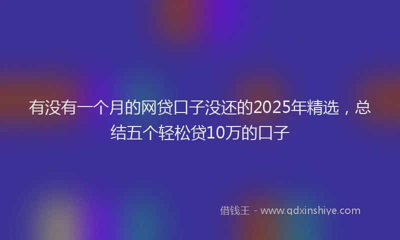 有没有一个月的网贷口子没还的2025年精选，总结五个轻松贷10万的口子