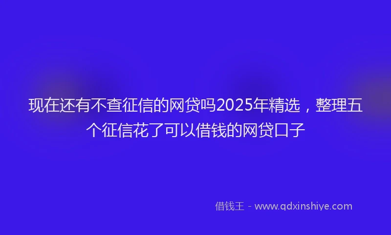 现在还有不查征信的网贷吗2025年精选，整理五个征信花了可以借钱的网贷口子