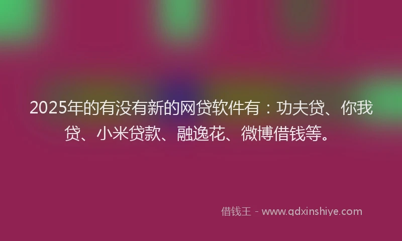 2025年的有没有新的网贷软件有：功夫贷、你我贷、小米贷款、融逸花、微博借钱等。