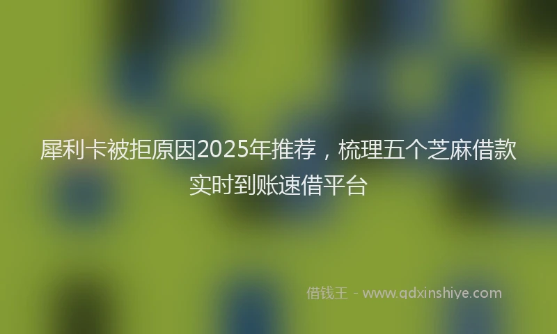 犀利卡被拒原因2025年推荐，梳理五个芝麻借款实时到账速借平台