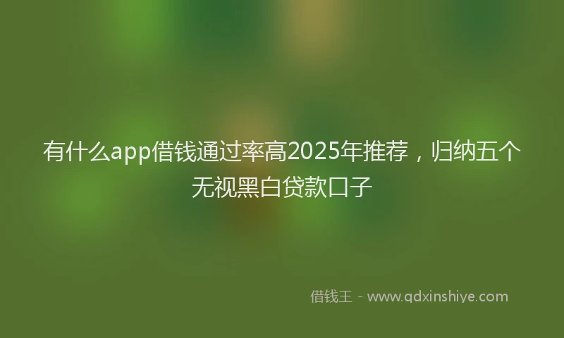 有什么app借钱通过率高2025年推荐，归纳五个无视黑白贷款口子