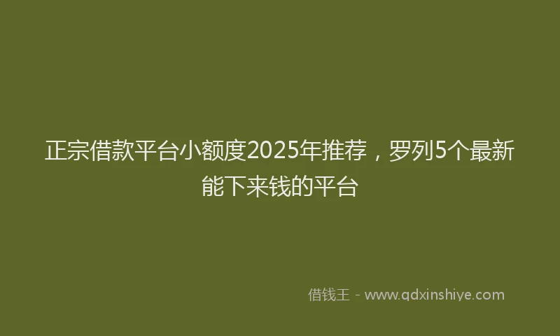 正宗借款平台小额度2025年推荐，罗列5个最新能下来钱的平台