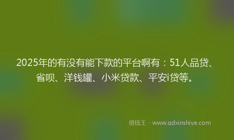 2025年的有没有能下款的平台啊有：51人品贷、省呗、洋钱罐、小米贷款、平安i贷等。
