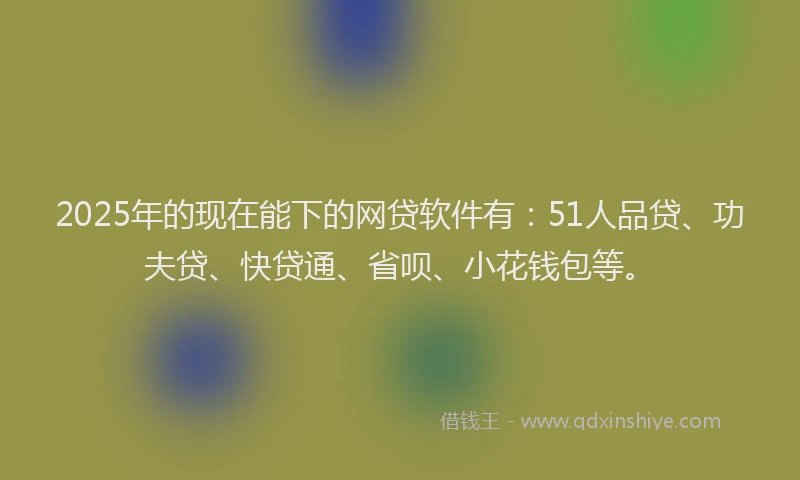 2025年的现在能下的网贷软件有：51人品贷、功夫贷、快贷通、省呗、小花钱包等。