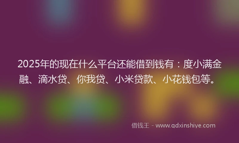 2025年的现在什么平台还能借到钱有：度小满金融、滴水贷、你我贷、小米贷款、小花钱包等。