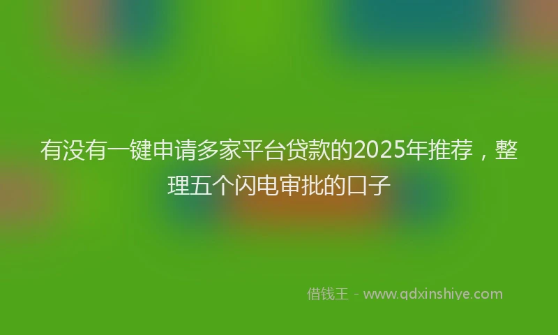 有没有一键申请多家平台贷款的2025年推荐，整理五个闪电审批的口子
