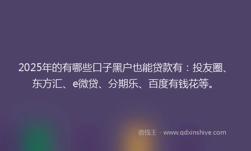 2025年的有哪些口子黑户也能贷款有：投友圈、东方汇、e微贷、分期乐、百度有钱花等。