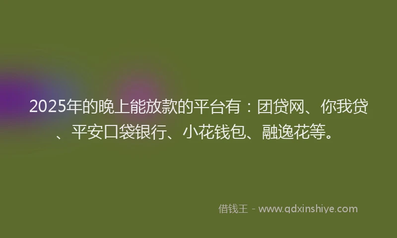 2025年的晚上能放款的平台有：团贷网、你我贷、平安口袋银行、小花钱包、融逸花等。