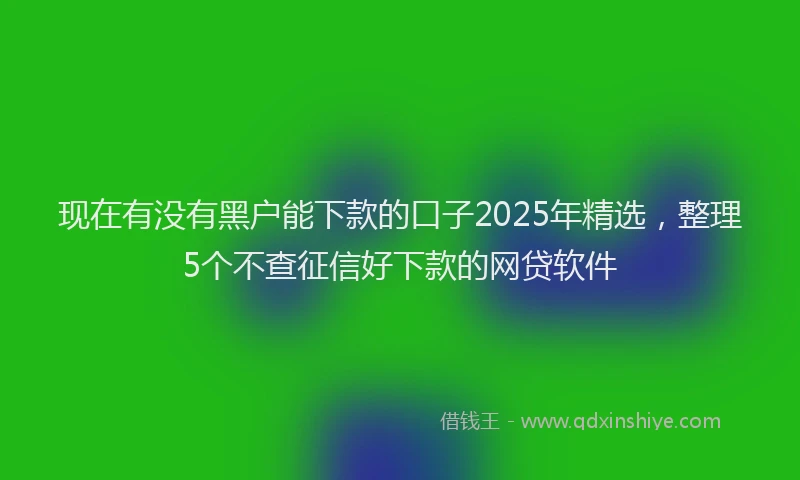 现在有没有黑户能下款的口子2025年精选，整理5个不查征信好下款的网贷软件