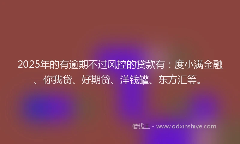 2025年的有逾期不过风控的贷款有：度小满金融、你我贷、好期贷、洋钱罐、东方汇等。