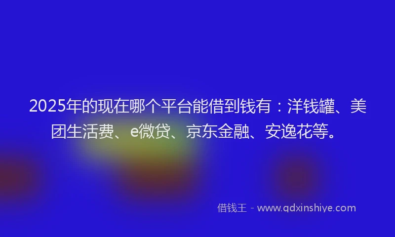 2025年的现在哪个平台能借到钱有：洋钱罐、美团生活费、e微贷、京东金融、安逸花等。