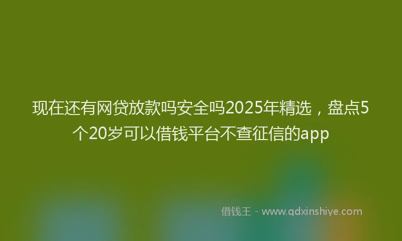 现在还有网贷放款吗安全吗2025年精选，盘点5个20岁可以借钱平台不查征信的app