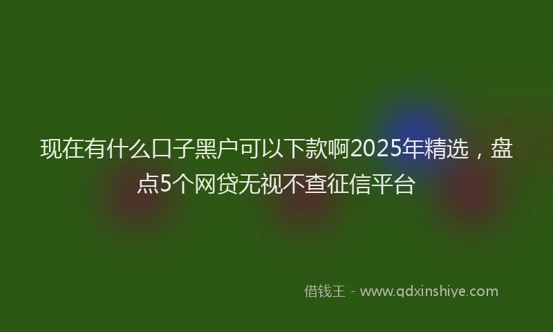 现在有什么口子黑户可以下款啊2025年精选，盘点5个网贷无视不查征信平台