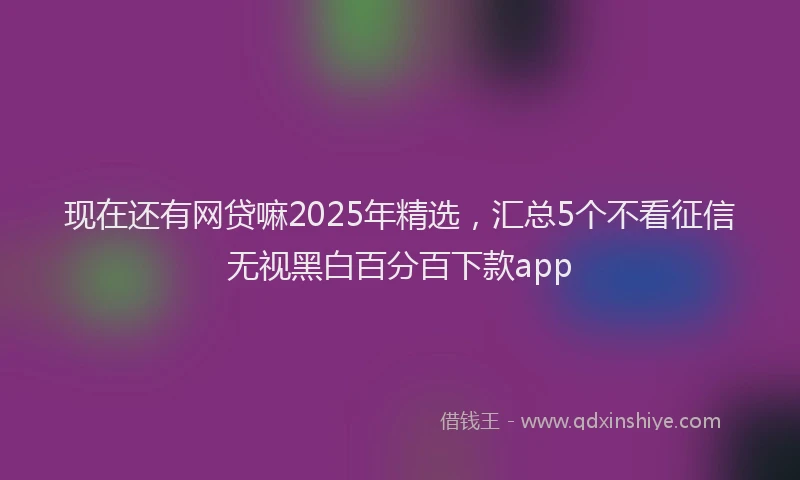 现在还有网贷嘛2025年精选，汇总5个不看征信无视黑白百分百下款app