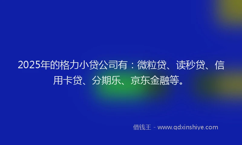 2025年的格力小贷公司有：微粒贷、读秒贷、信用卡贷、分期乐、京东金融等。