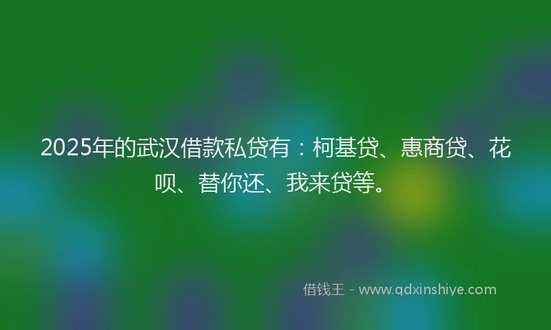 2025年的武汉借款私贷有：柯基贷、惠商贷、花呗、替你还、我来贷等。