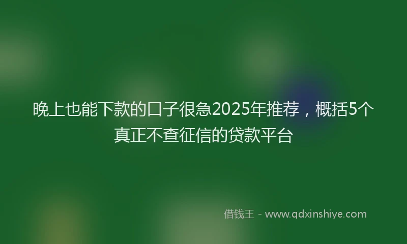 晚上也能下款的口子很急2025年推荐，概括5个真正不查征信的贷款平台