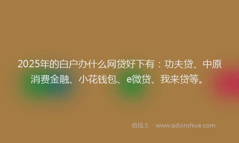 2025年的白户办什么网贷好下有：功夫贷、中原消费金融、小花钱包、e微贷、我来贷等。