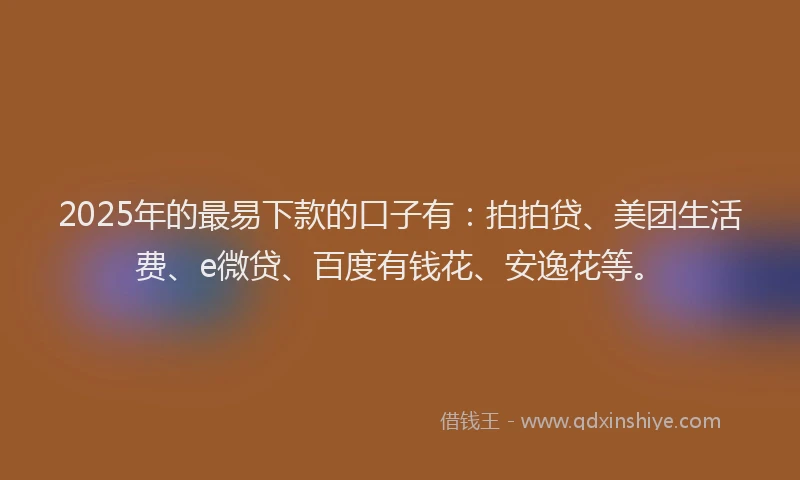 2025年的最易下款的口子有：拍拍贷、美团生活费、e微贷、百度有钱花、安逸花等。