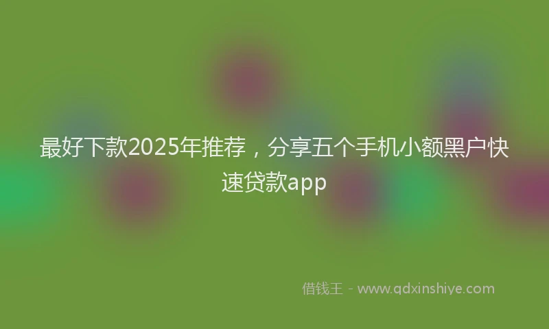 最好下款2025年推荐，分享五个手机小额黑户快速贷款app