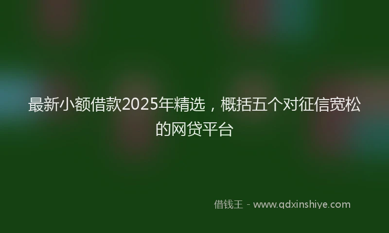 最新小额借款2025年精选，概括五个对征信宽松的网贷平台