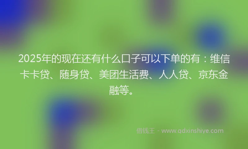 2025年的现在还有什么口子可以下单的有：维信卡卡贷、随身贷、美团生活费、人人贷、京东金融等。