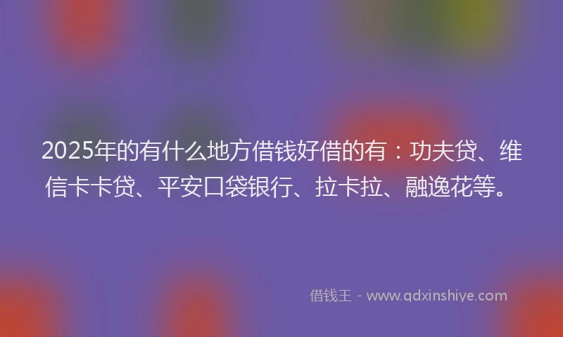 2025年的有什么地方借钱好借的有：功夫贷、维信卡卡贷、平安口袋银行、拉卡拉、融逸花等。
