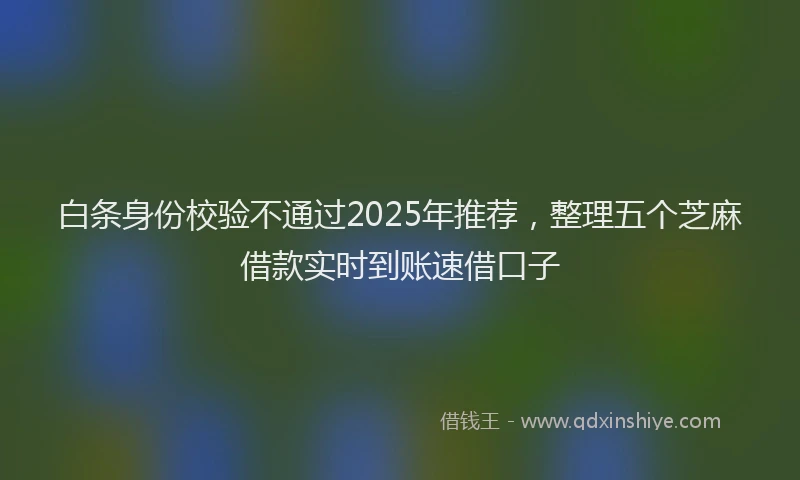 白条身份校验不通过2025年推荐，整理五个芝麻借款实时到账速借口子