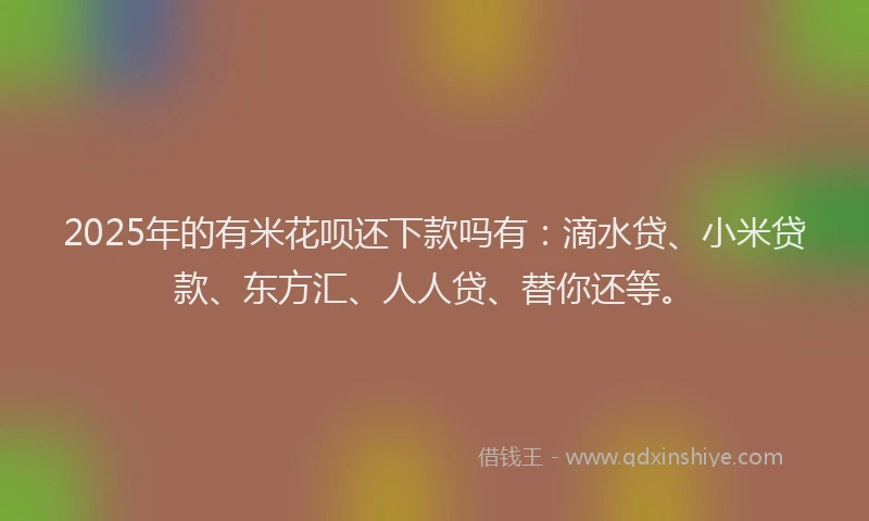 2025年的有米花呗还下款吗有：滴水贷、小米贷款、东方汇、人人贷、替你还等。