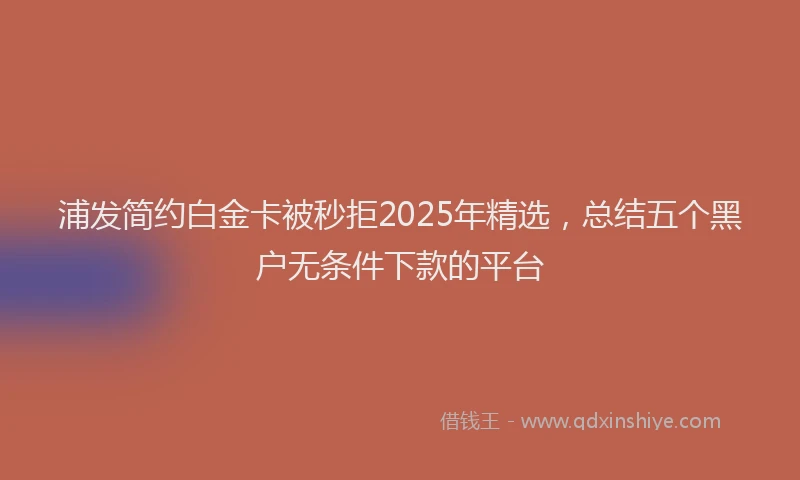 浦发简约白金卡被秒拒2025年精选，总结五个黑户无条件下款的平台