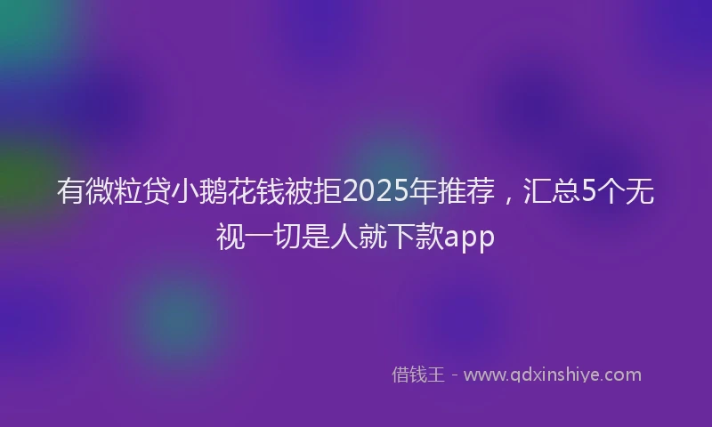 有微粒贷小鹅花钱被拒2025年推荐，汇总5个无视一切是人就下款app