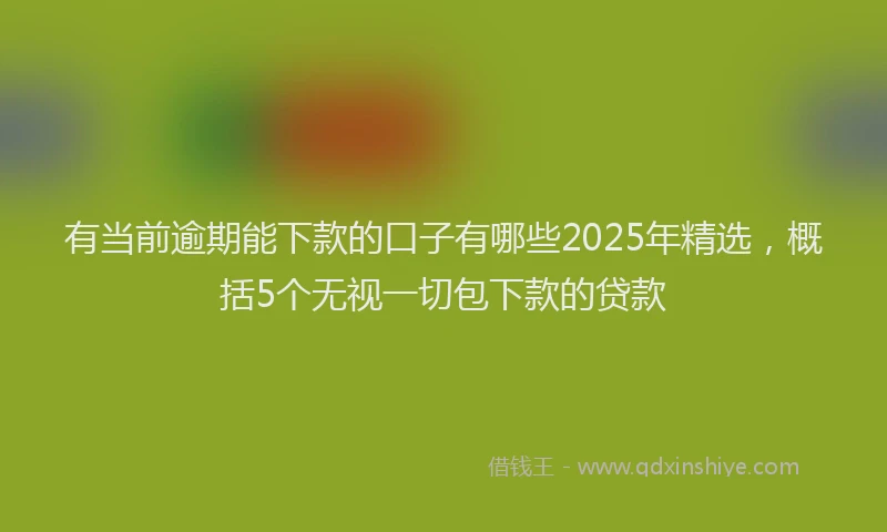 有当前逾期能下款的口子有哪些2025年精选，概括5个无视一切包下款的贷款