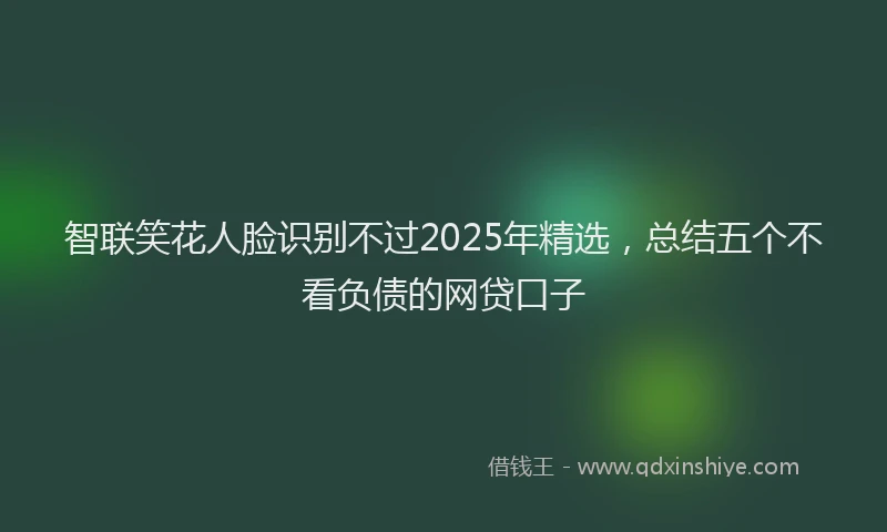 智联笑花人脸识别不过2025年精选，总结五个不看负债的网贷口子