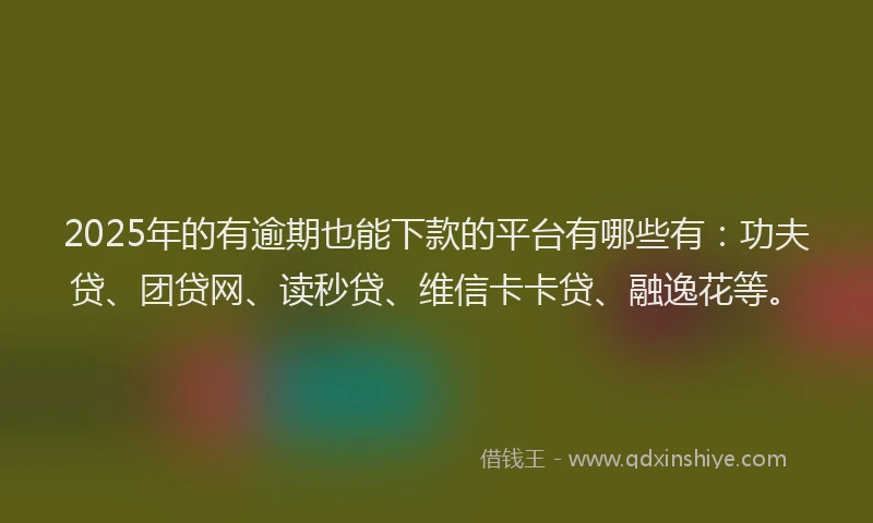 2025年的有逾期也能下款的平台有哪些有：功夫贷、团贷网、读秒贷、维信卡卡贷、融逸花等。