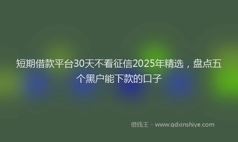 短期借款平台30天不看征信2025年精选，盘点五个黑户能下款的口子