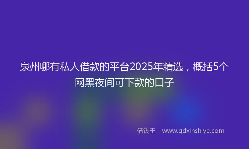 泉州哪有私人借款的平台2025年精选，概括5个网黑夜间可下款的口子