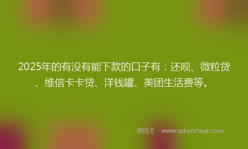 2025年的有没有能下款的口子有：还呗、微粒贷、维信卡卡贷、洋钱罐、美团生活费等。