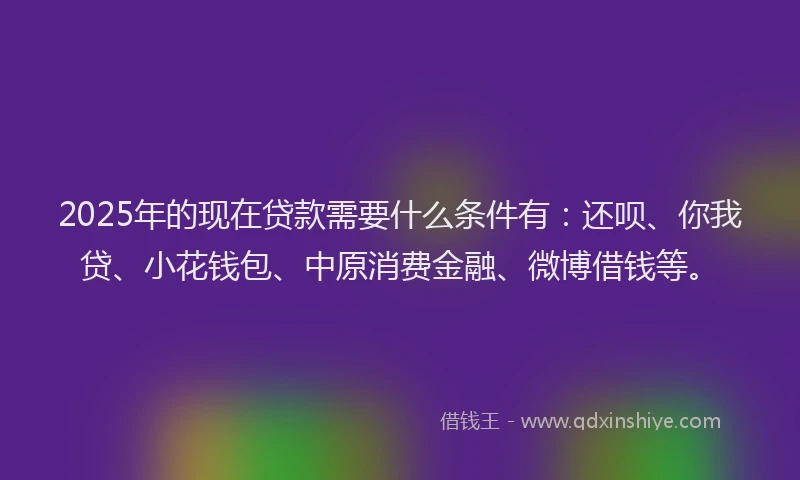 2025年的现在贷款需要什么条件有：还呗、你我贷、小花钱包、中原消费金融、微博借钱等。