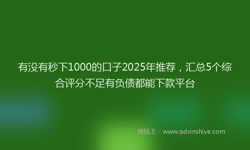 有没有秒下1000的口子2025年推荐，汇总5个综合评分不足有负债都能下款平台