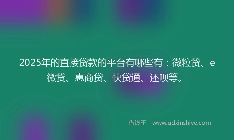 2025年的直接贷款的平台有哪些有：微粒贷、e微贷、惠商贷、快贷通、还呗等。