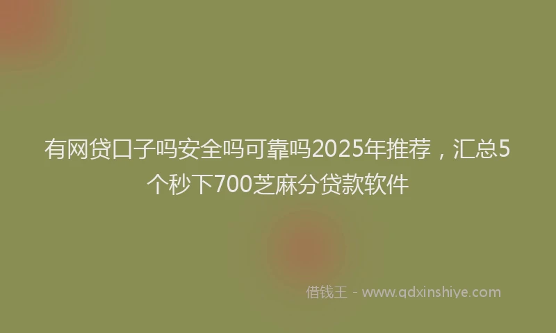 有网贷口子吗安全吗可靠吗2025年推荐，汇总5个秒下700芝麻分贷款软件