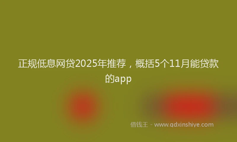 正规低息网贷2025年推荐，概括5个11月能贷款的app