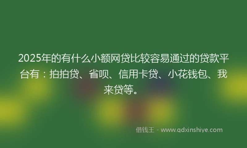 2025年的有什么小额网贷比较容易通过的贷款平台有：拍拍贷、省呗、信用卡贷、小花钱包、我来贷等。