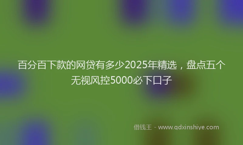 百分百下款的网贷有多少2025年精选，盘点五个无视风控5000必下口子